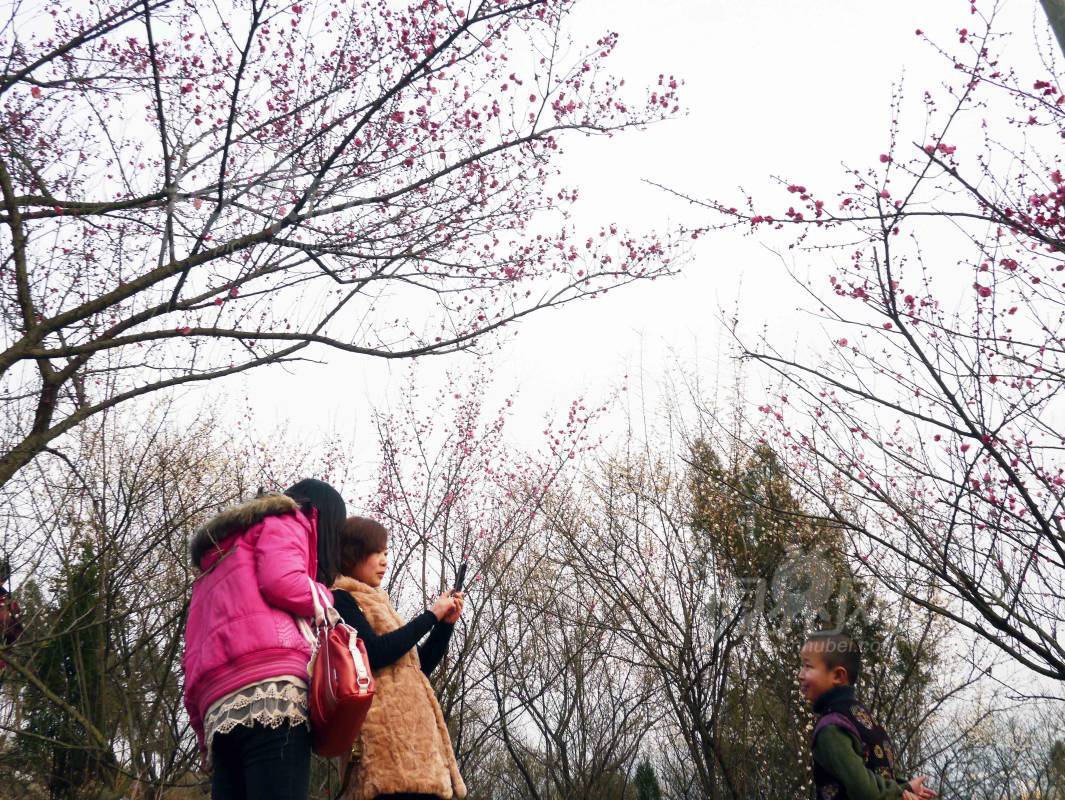 181277