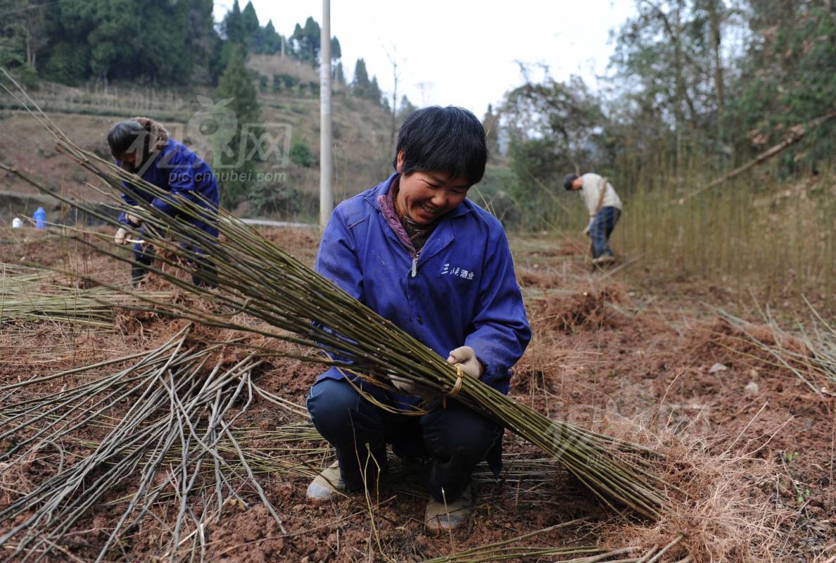 183509