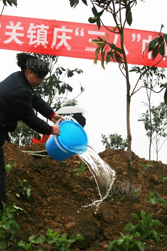 184431