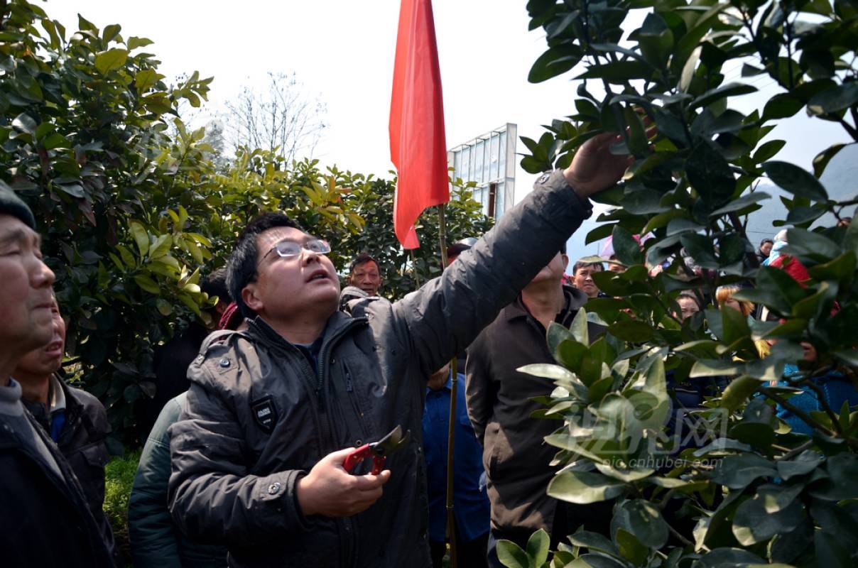 186067