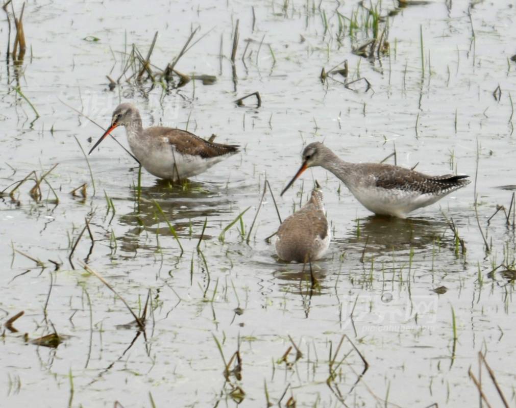 186159
