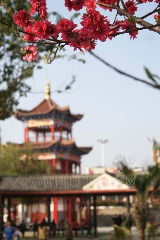 192007