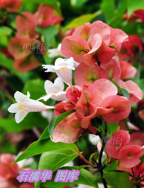 199990