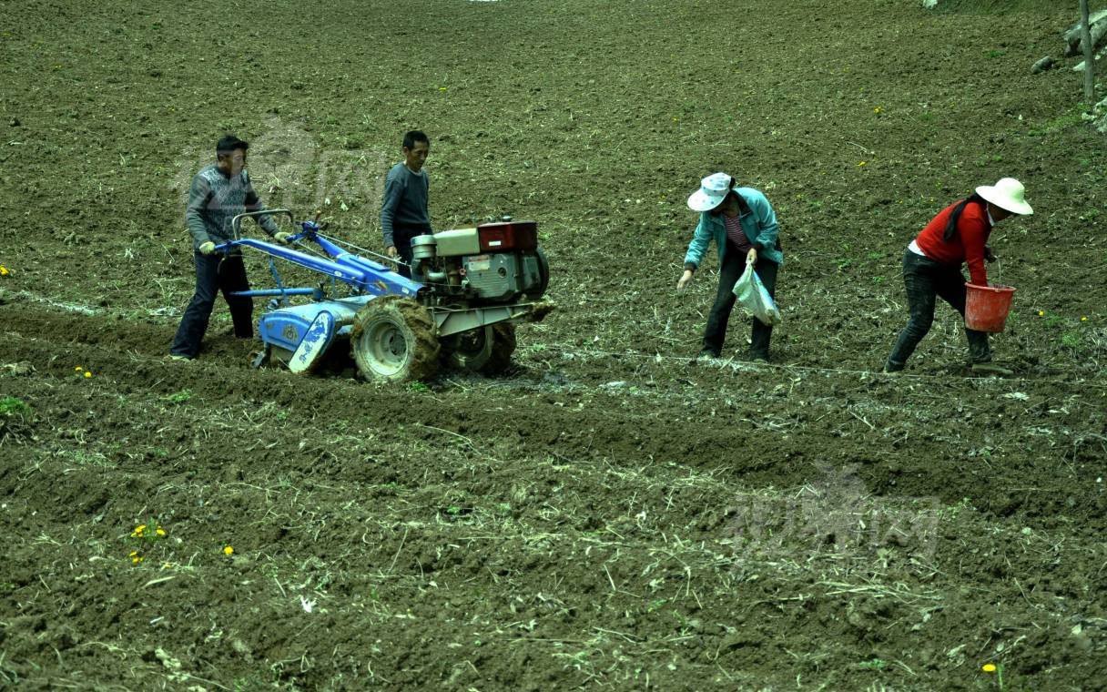 200361