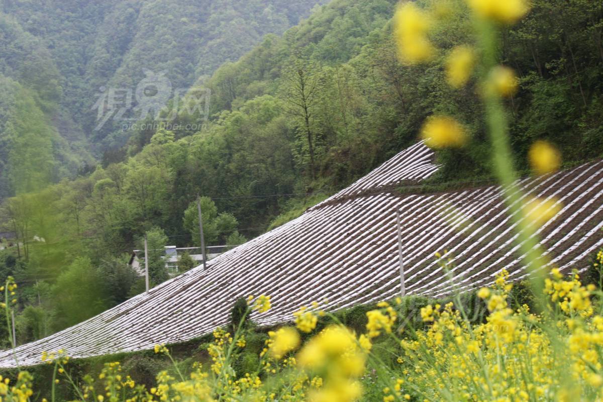 200709
