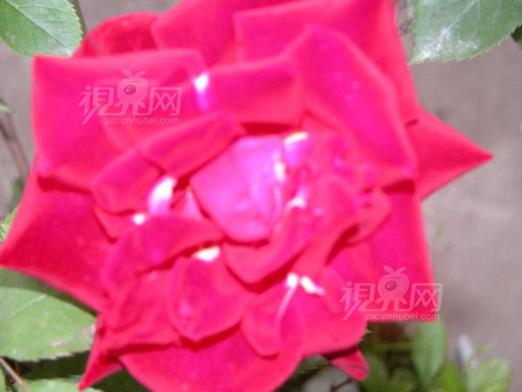 201119