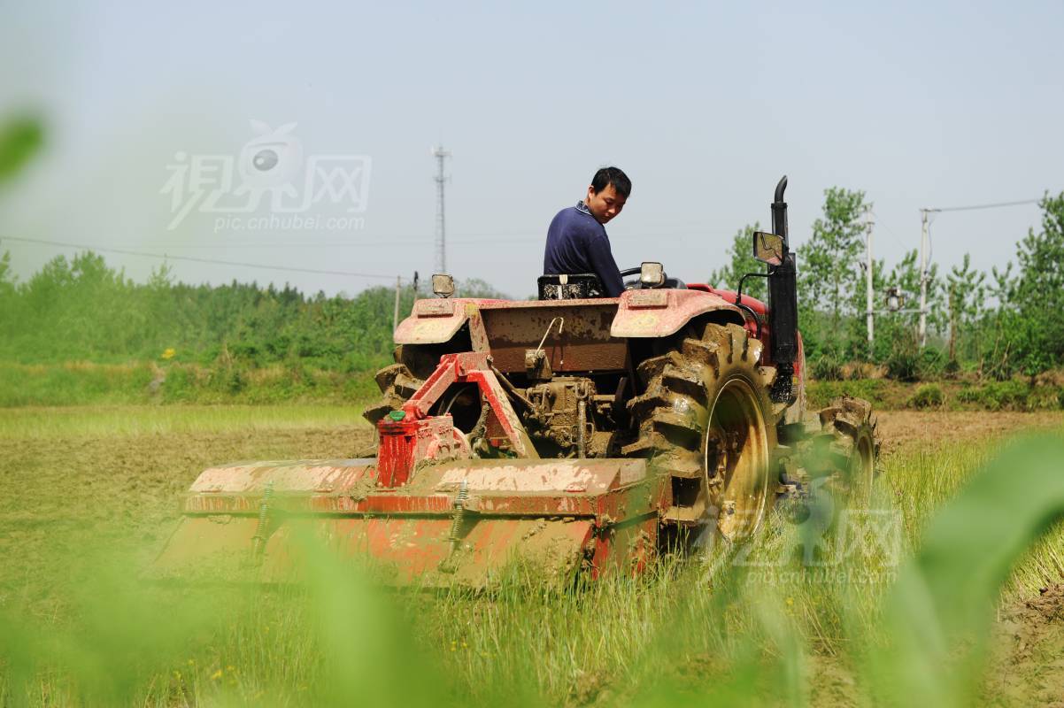 202091