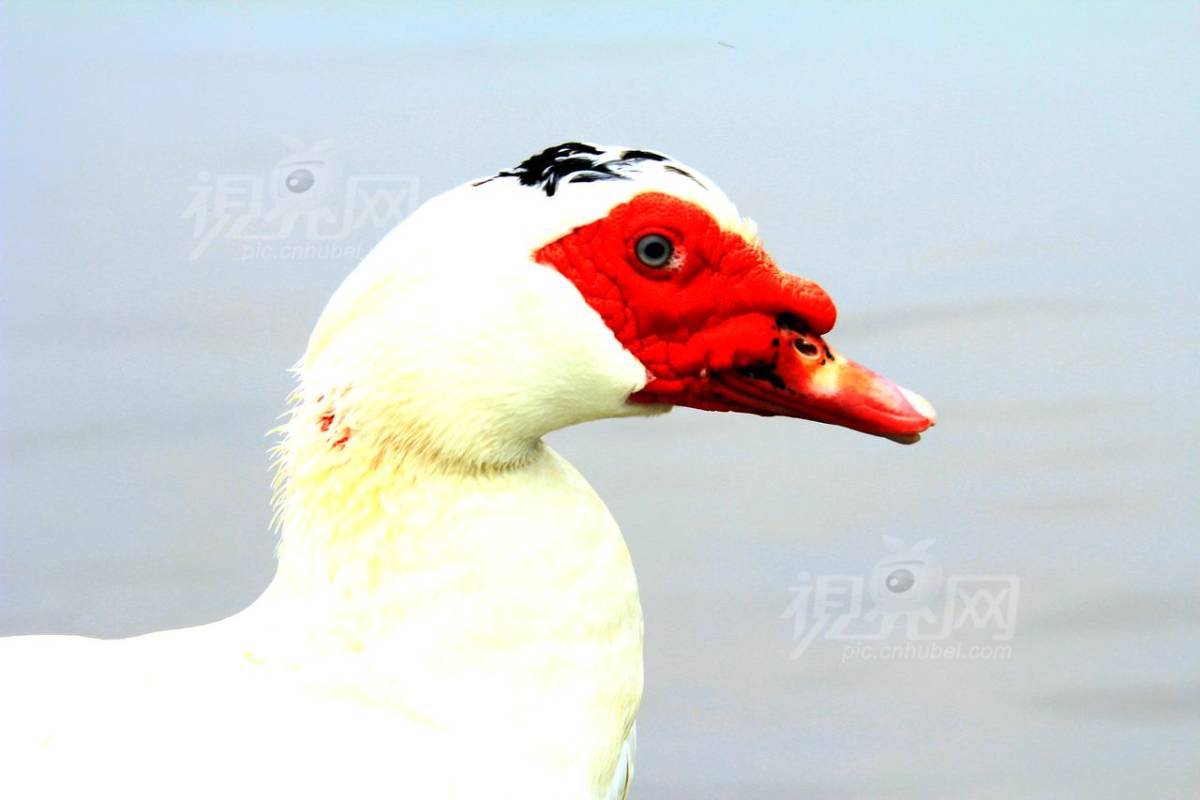 202190