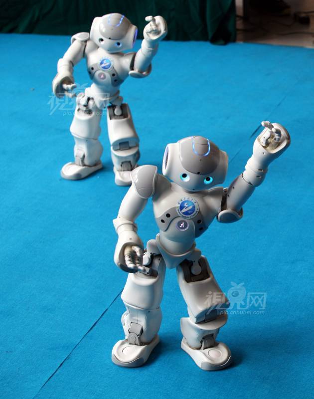 203697