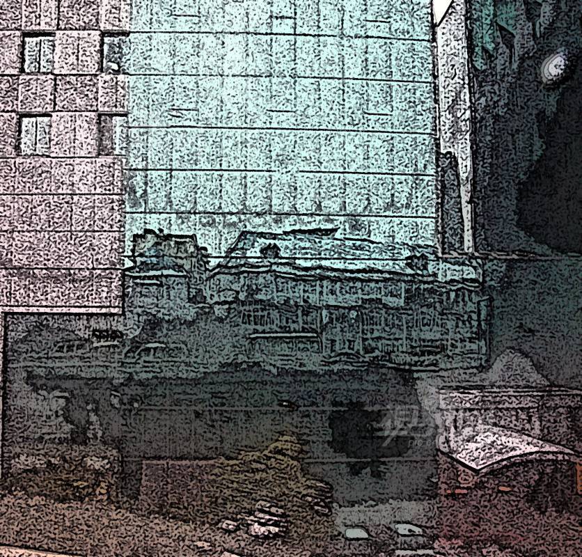 204884
