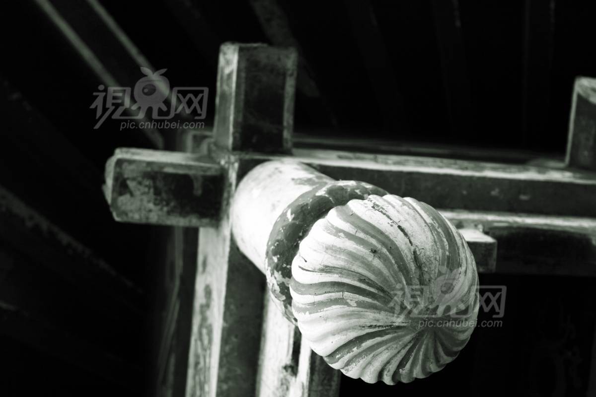205028