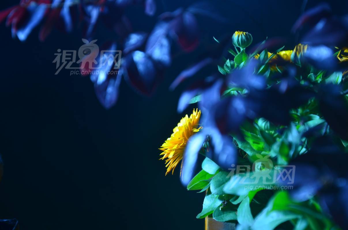 206083