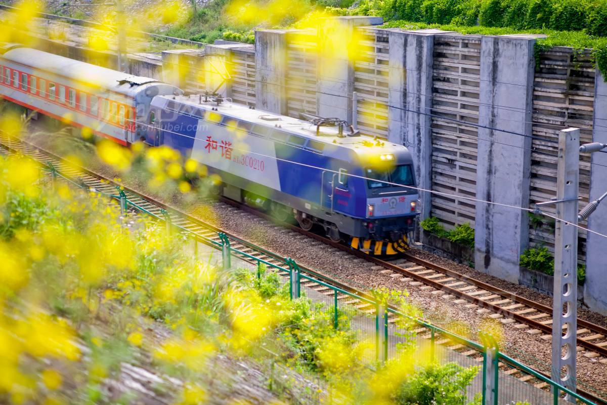 208005