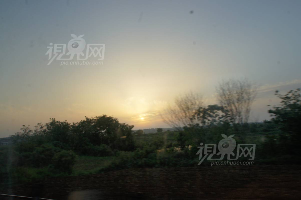 208276
