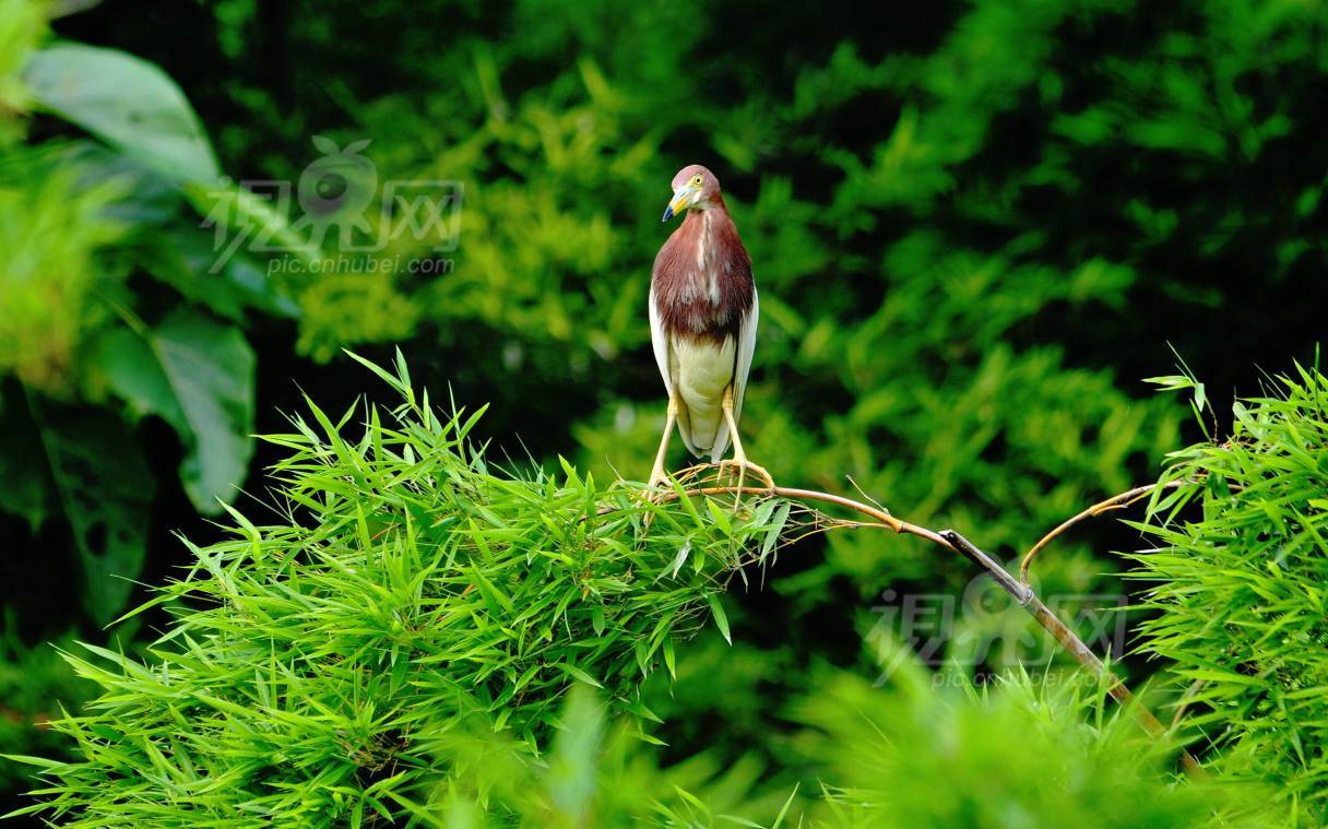 214476