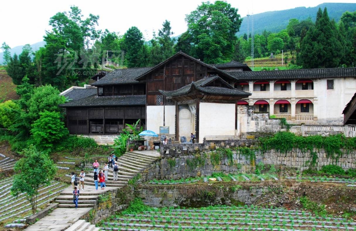 214566