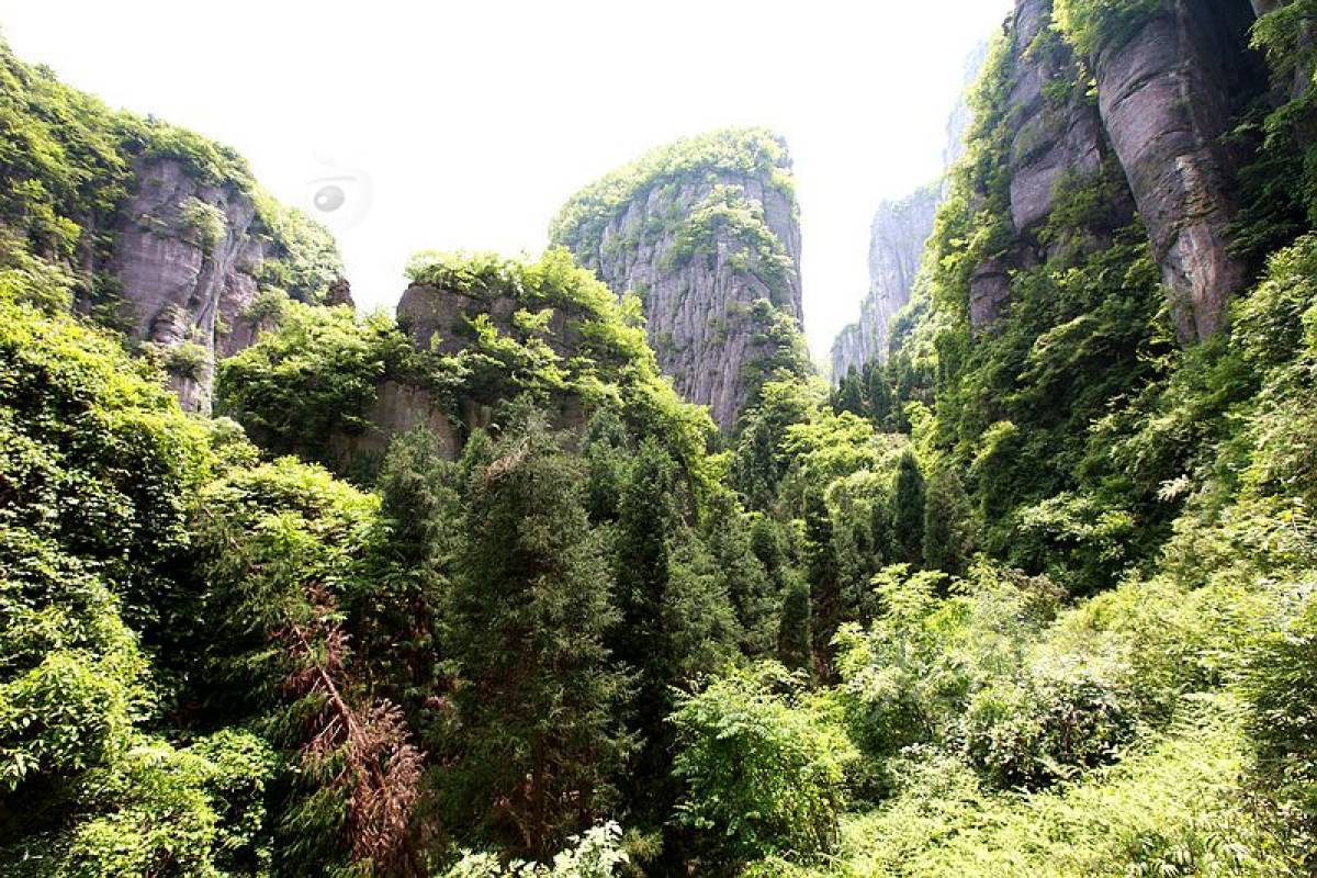 216326