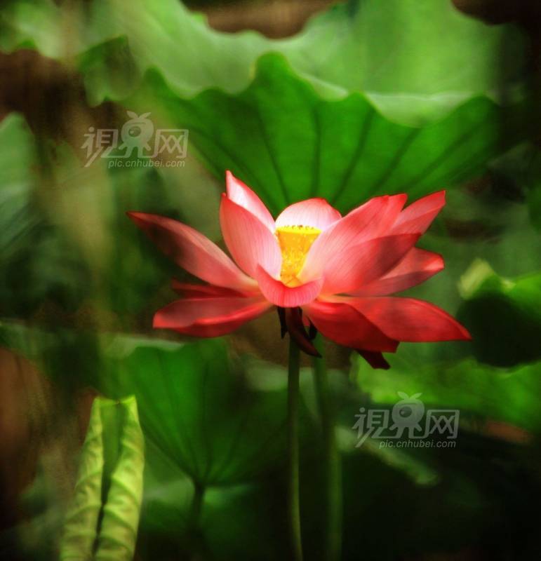216345