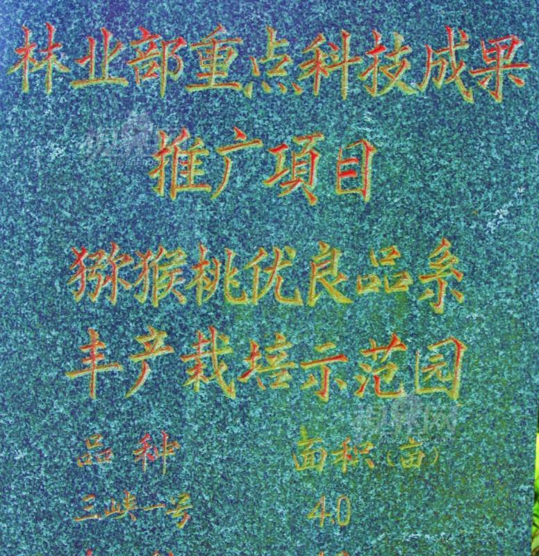 218781