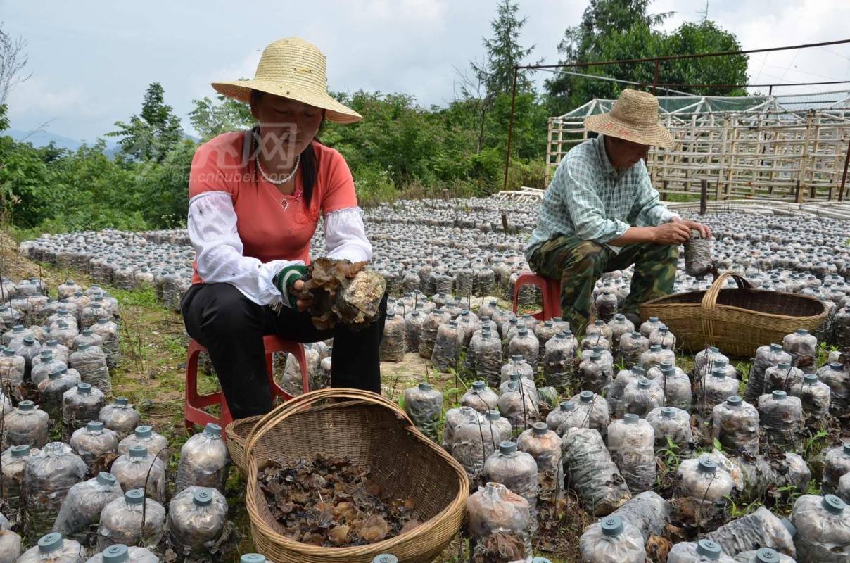 220916