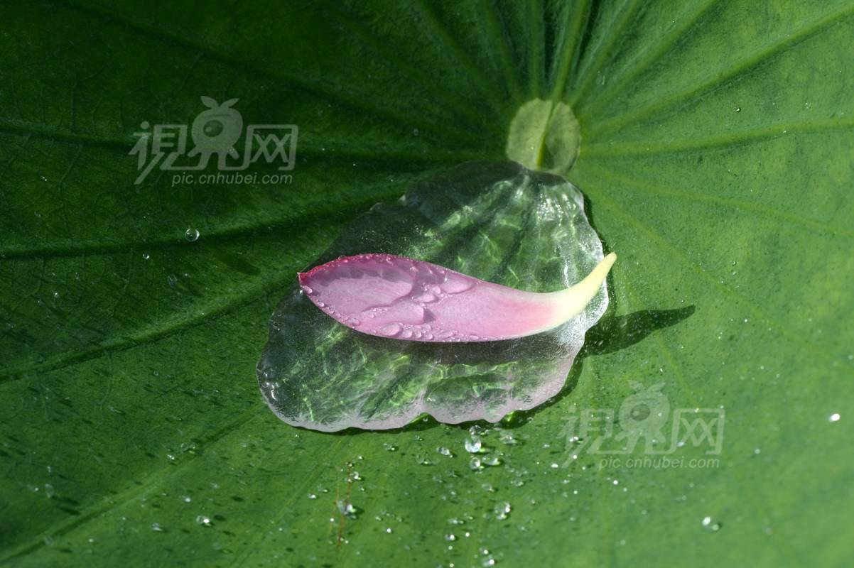 221322