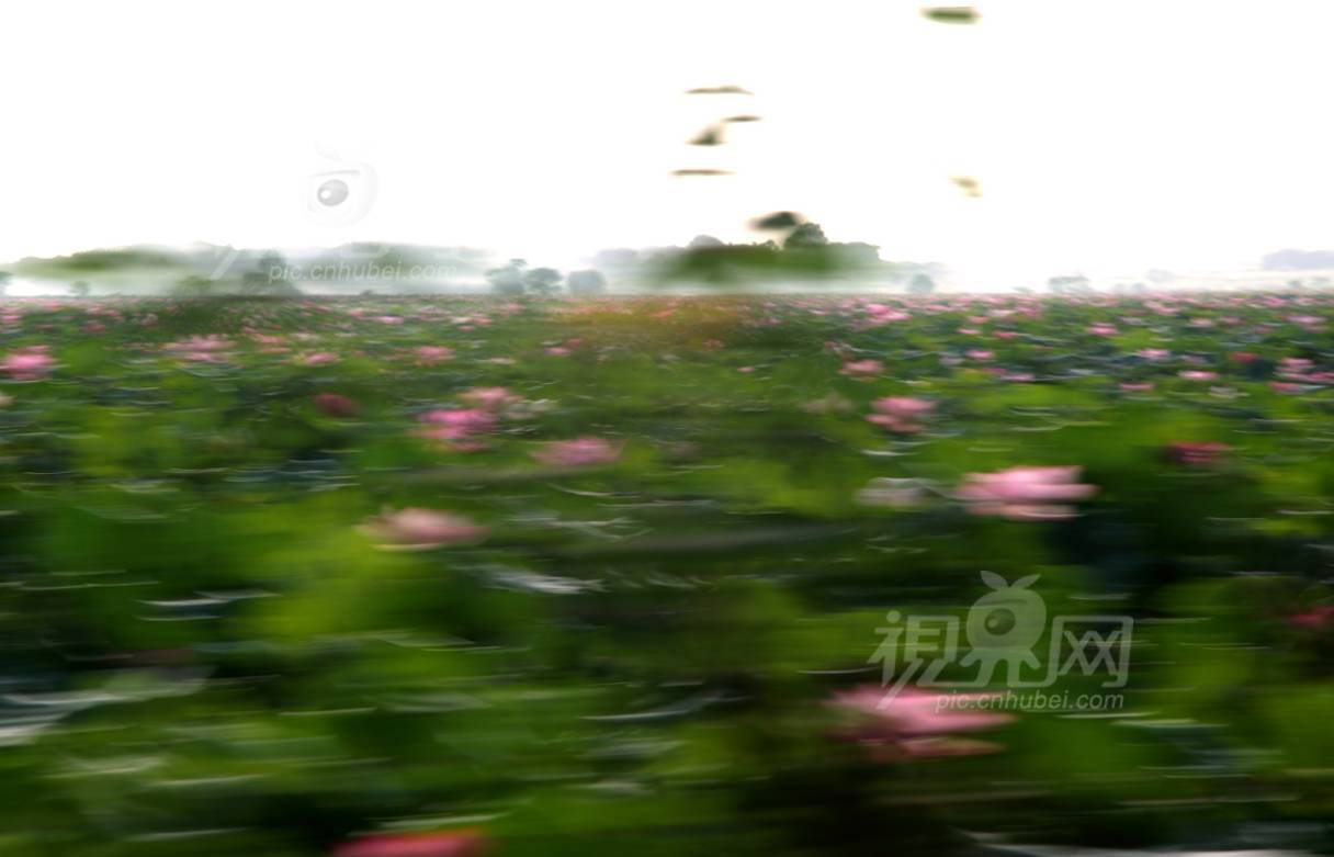 225178