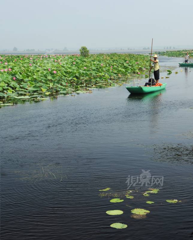 229190