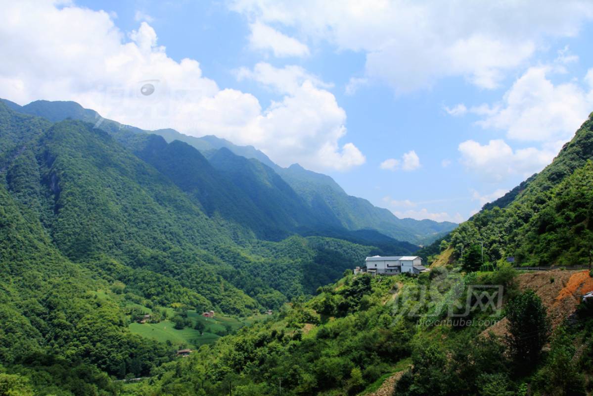 229319