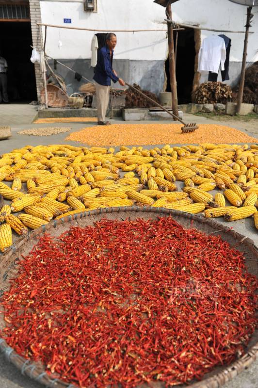 231144