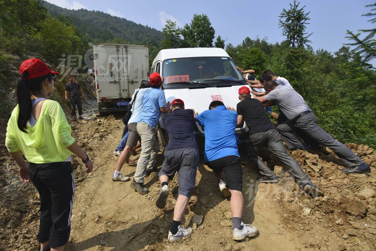 231236