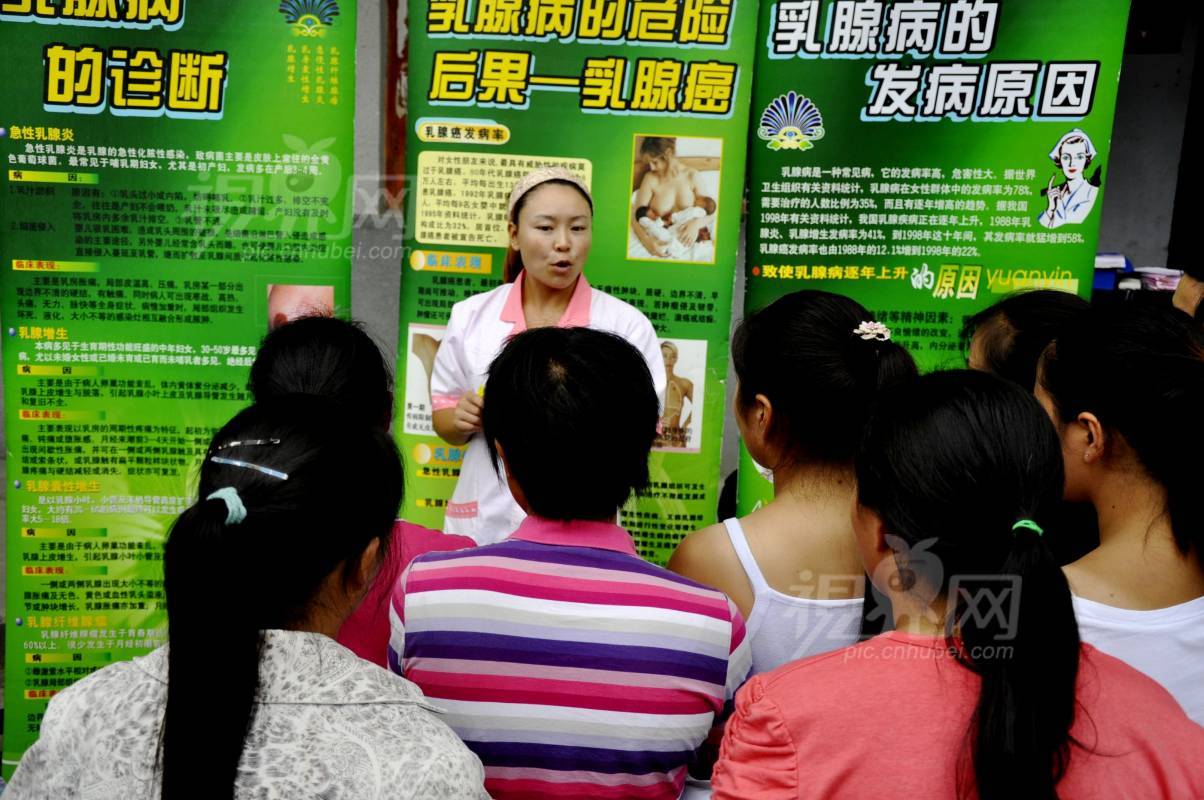 231853