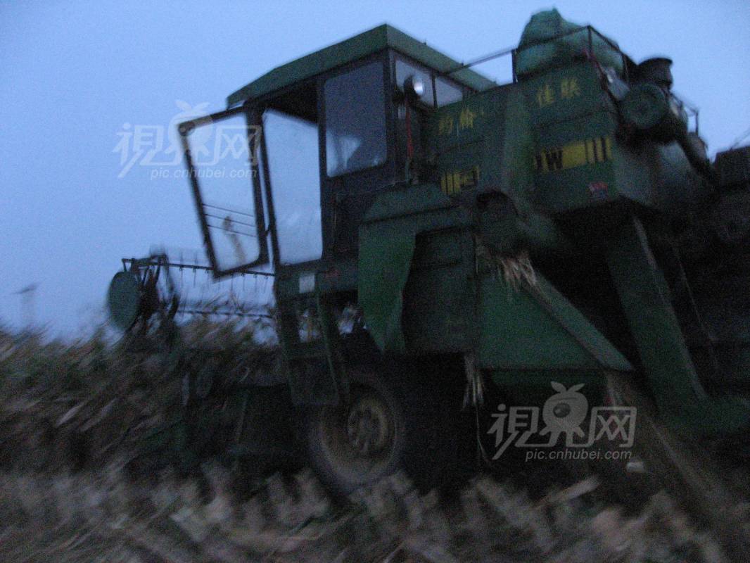 232542