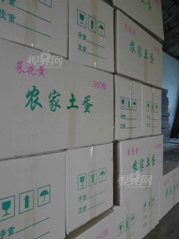 233873