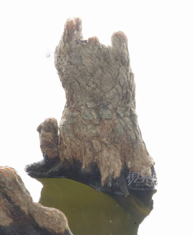 234258