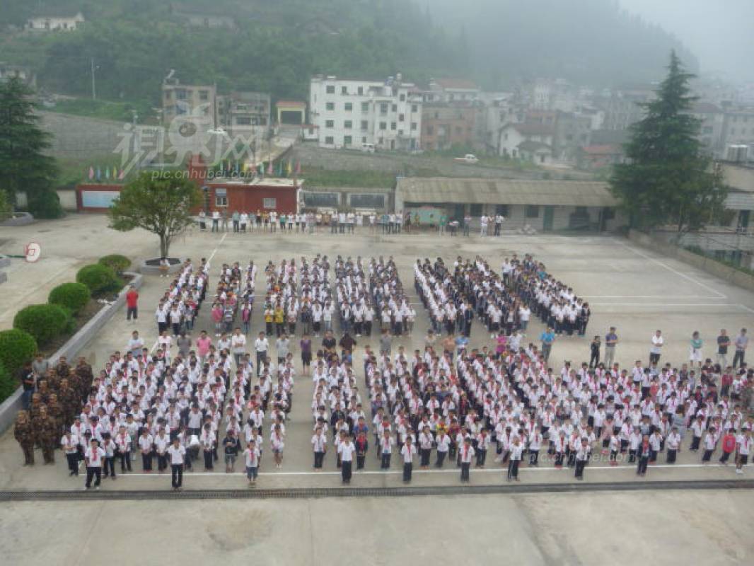236161