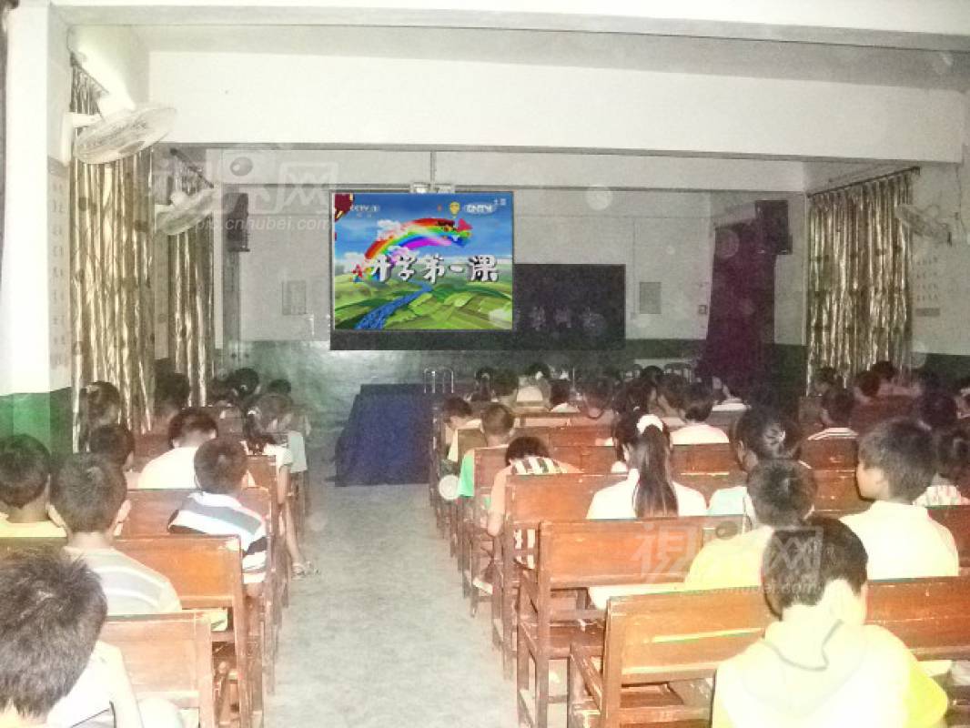 236590