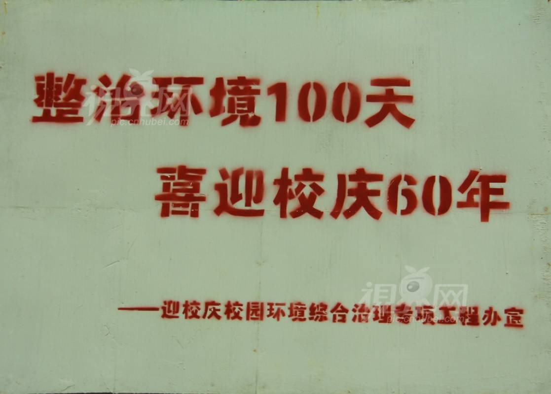 237587
