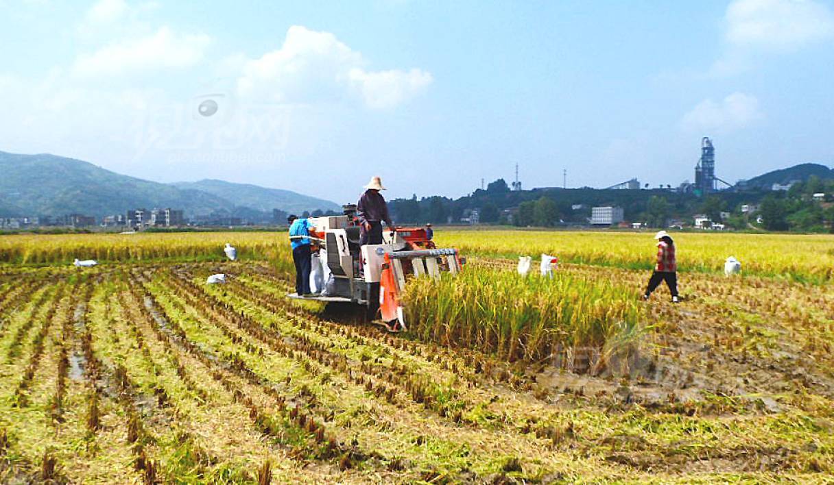 238576