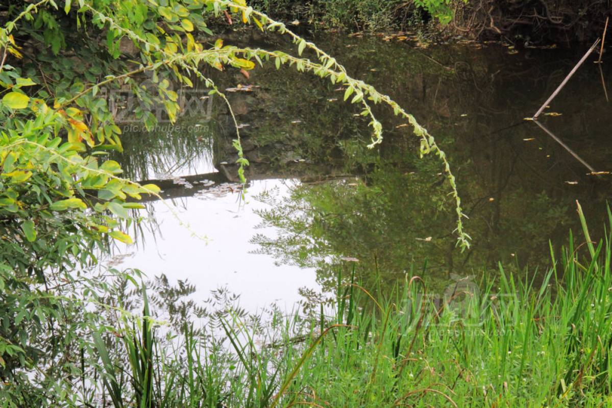 238690