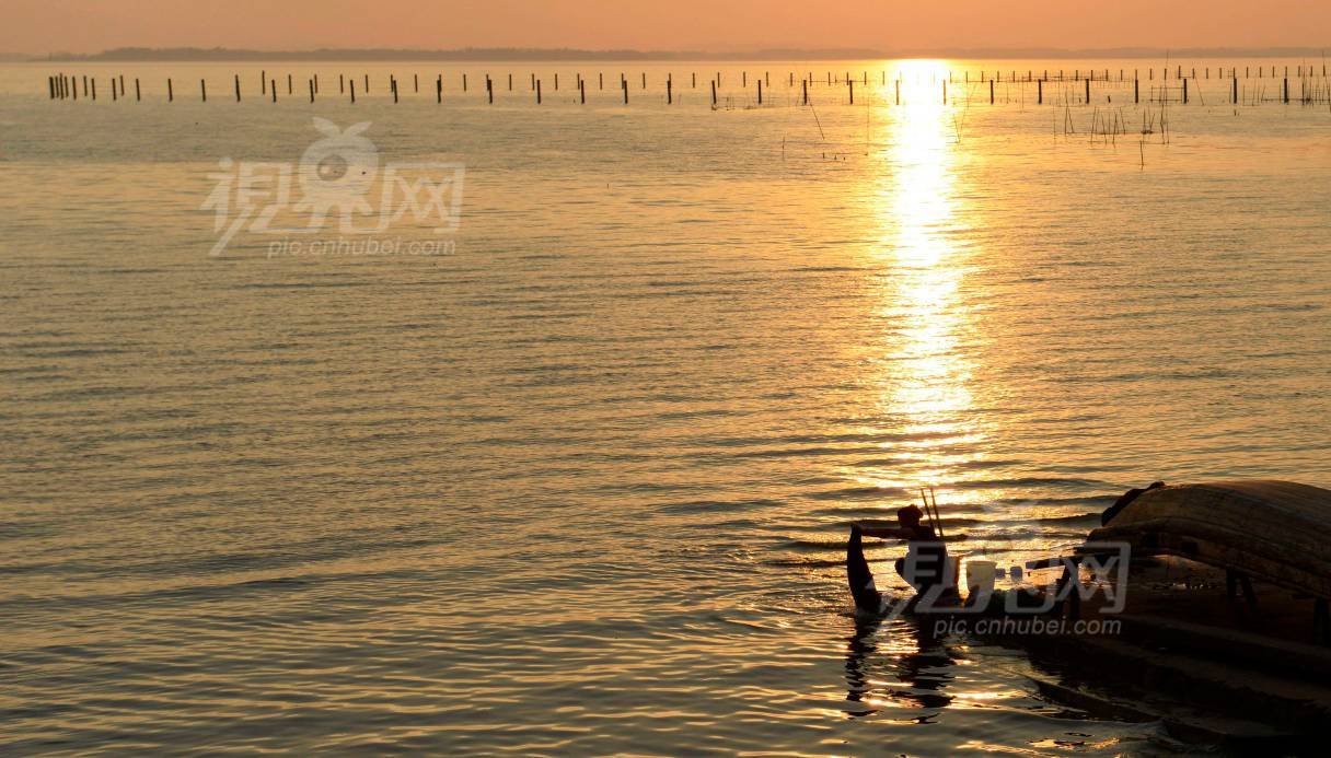 238853