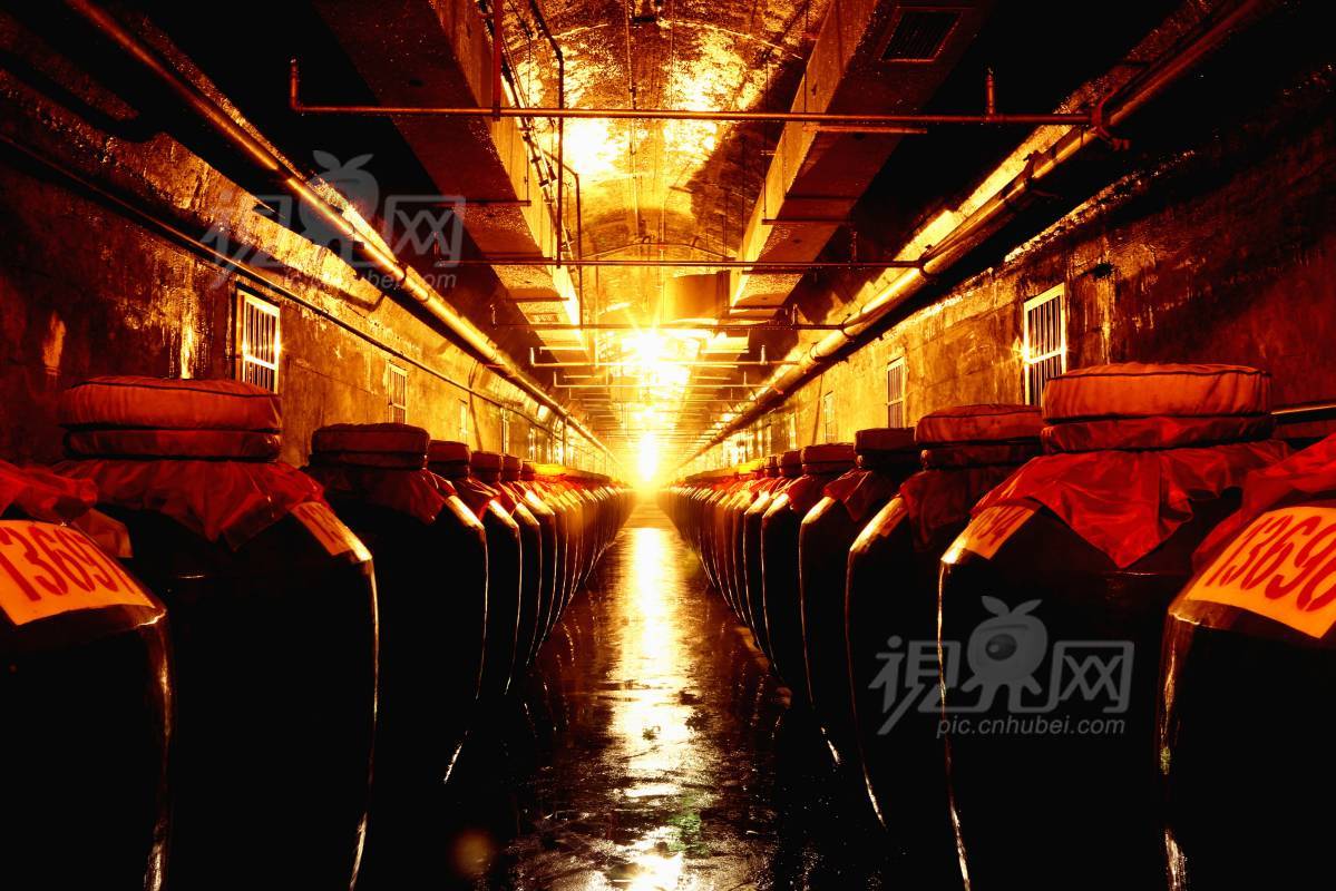 239214