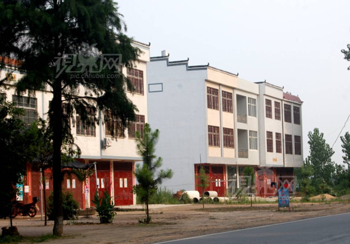 239250