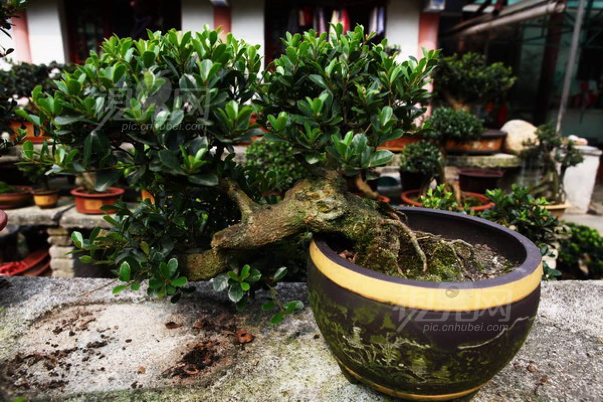 239257