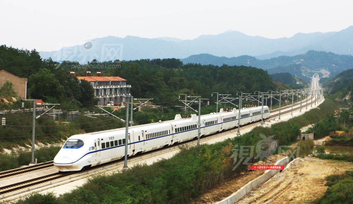 241633