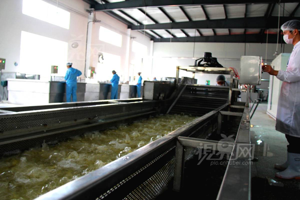242231