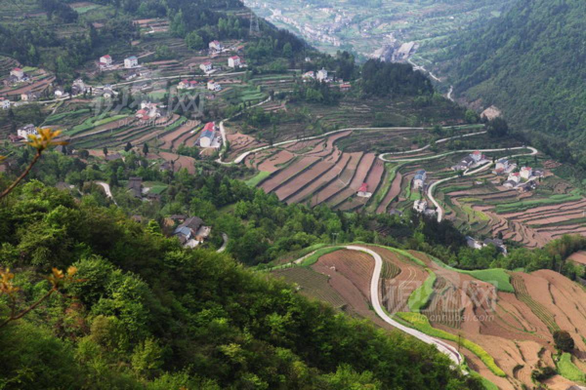 242591
