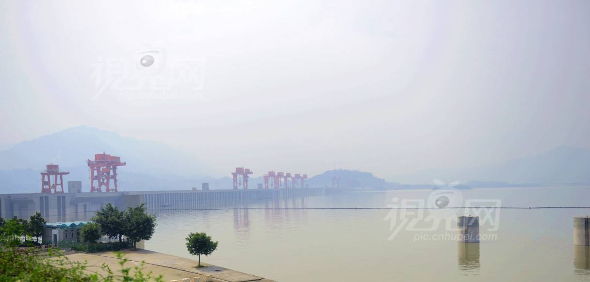 244951