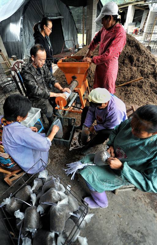 246196