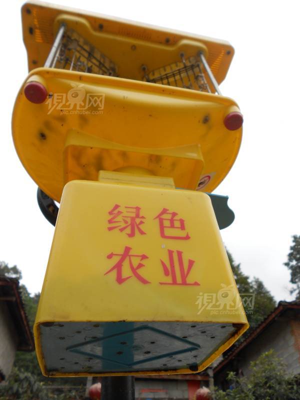 246388