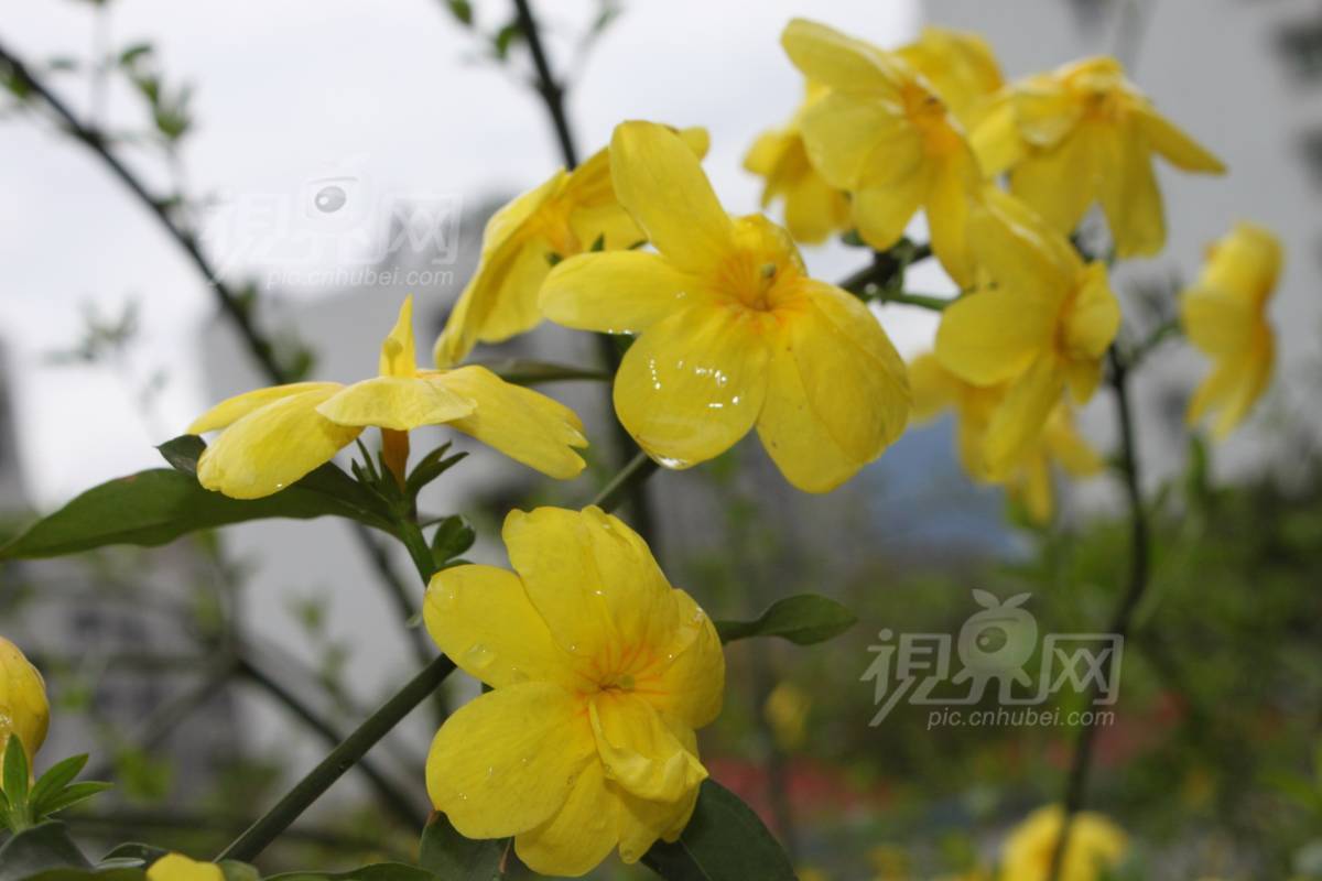 249046